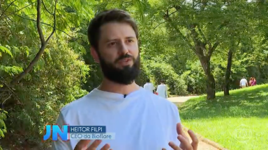 Researchers calculate the dimension of positive environmental impact generated by one of the world's largest open-air museums in MG cover image