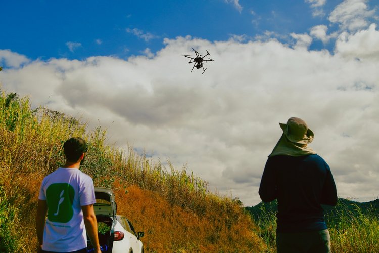 FloreViewer for the Cerrado cover image