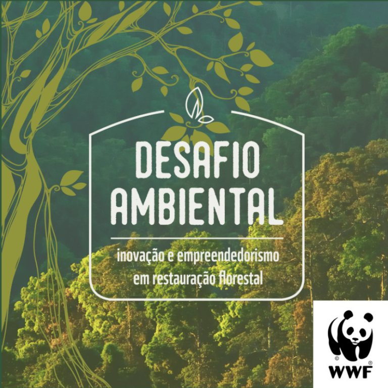 https://www.bioflore.com.br/wp-content/uploads/2023/03/Captura-de-Tela-2023-03-07-as-19.03.51-768x768.png