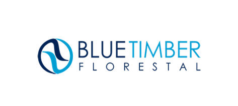Bluetimber